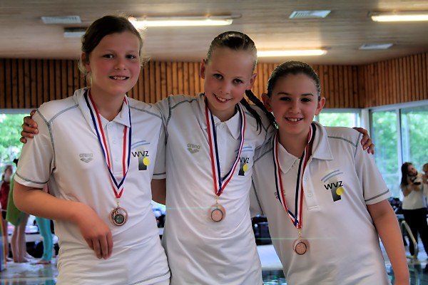 Regiokampioenschappen 2013
