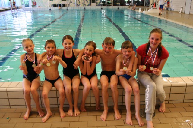Goede prestaties WVZ op het NK-B Schoonspringen