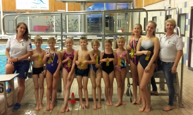 Goed resultaat voor WVZ schoonspringen in de Eerste Breedtesport competitie.